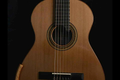 violao-imbuia-cedro-canadense-9