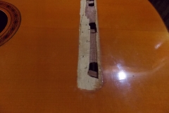 DSCN5466