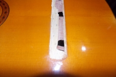 DSCN5467