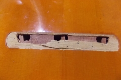 DSCN5469