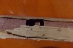 DSCN5471