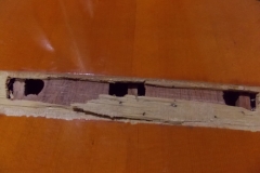 DSCN5472