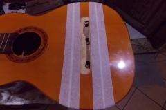 DSCN5475