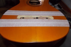 DSCN5477