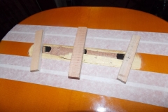 DSCN5481