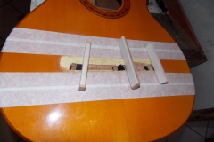 DSCN5483