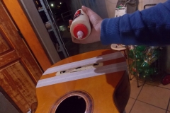 DSCN5484