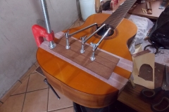 DSCN6750