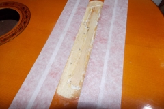 DSCN6752