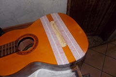 DSCN6755