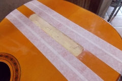 DSCN6757