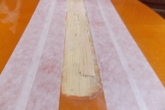 DSCN6759
