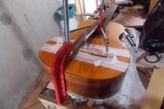 DSCN6772